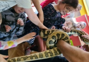 Dzieci głaszczą węża