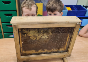 Dzieci podczas zajęć z pszczołami