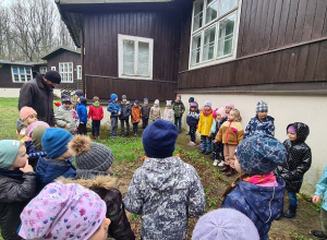 Dzieci podczas zajęć edukacyjnych w lesie