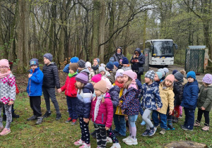 Dzieci podczas zajęć edukacyjnych w lesie