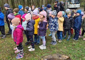 Dzieci podczas zajęć edukacyjnych w lesie