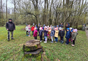 Dzieci podczas zajęć edukacyjnych w lesie