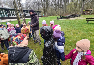 Dzieci podczas zajęć edukacyjnych w lesie