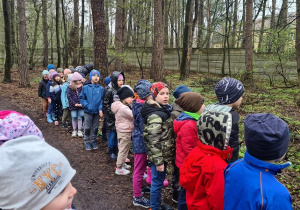 Dzieci podczas zajęć edukacyjnych w lesie