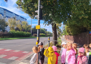 Dzieci z grupy III Jagody podczas spaceru w poszukiwaniu znaków drogowych