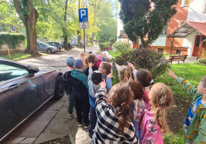 Dzieci z grupy III Jagody podczas spaceru w poszukiwaniu znaków drogowych